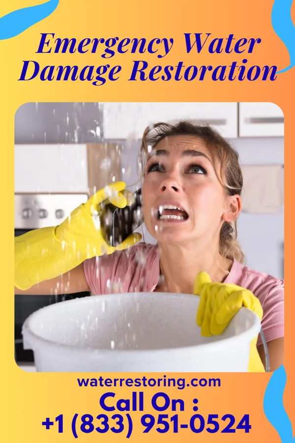 Emergency Water Damage Restoration in Mullan, ID